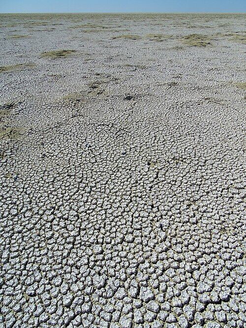 Etosha National Park
