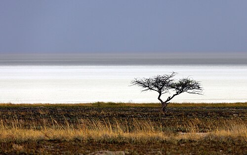Etosha National Park