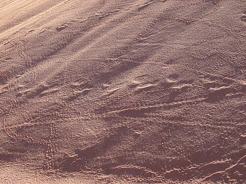 Sossusvlei